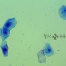 해운대 플러스동물병원 이미지