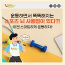 배드민턴교실 | 위드퍼니가 추천하는 아이 두뇌·집중력 발달에 좋은 스포츠 TOP3 배드민턴·야구·축구