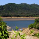 (주)질경이 이미지