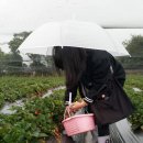 마르코농장 이미지