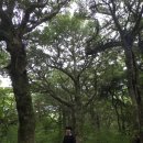 김녕쉼표 이미지