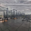 바디다짐 이미지