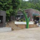 영월곤충박물관 이미지