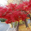 자양초등학교 이미지