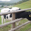 초록목장 이미지