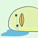 하신 Daum카페