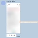 에어로케이 승무원 합격생 인터뷰 (20대 후반, 비항공과)