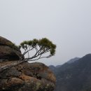 곡성-155 이미지