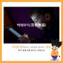 연 태권도 이미지