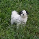 웅천 소류지 이미지