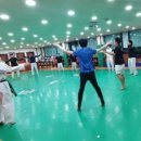 라이온즈 태권도장 이미지