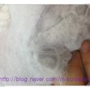 백호동물병원 이미지