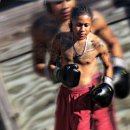 스타복싱클럽 이미지