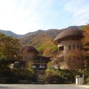운문산자연휴양림 티스토리