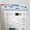 생명의줄기 이미지