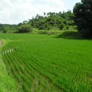 공주시탄천면덕지보건진료소 이미지