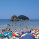 꽃지가는길 이미지