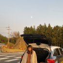 차롱민박 이미지