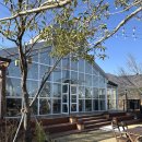 반송재로 | 거제 그레이스K 웨딩홀 하객 후기 하우스웨딩 바베큐가 있는 뷔페