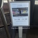 부산시민관광 | 남포, 용두산 공원 볼거리 '부산타워 & 전망대' 솔직 후기