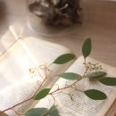 D&S factory 이미지