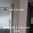 이레스테이 이미지