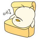 모토부스
