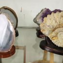 극동모터스 이미지