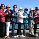 낭성초등학교 이미지