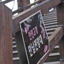 바람고개길 이미지