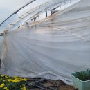 인건농장 이미지