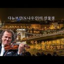 도나우강의 잔물결...결 이미지