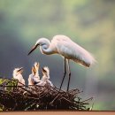 대덕문화원 이미지