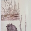 전통민화(초급) 이미지