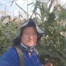 안말농장 이미지