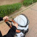 펫도그 애견스쿨 | 왓도그캣 무료 펫 선물 포로리 강아지 유모차 신청방법