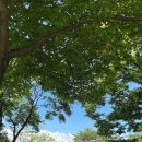 영랑호컨트리클럽 이미지