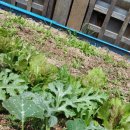 수정동농장 이미지