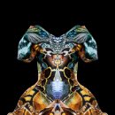 이랜드뮤지엄 이미지