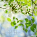 넌나의선물