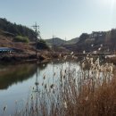 백일도 - 광진구 능동로47길 36 | 백일도
