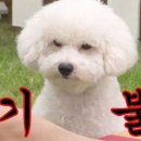 주니히로
