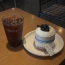 내 추구미 쭈꾸미