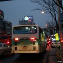 세운버스 이미지