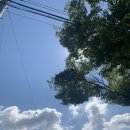 요아페 포켓볼 당구장 이미지