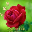 토요일 이미지