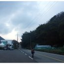 장령산훼미리