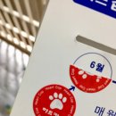 메디안약국 이미지