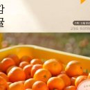 제주댁 농장 이미지