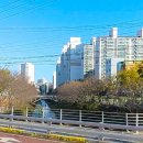 수복공인중개사사무소 이미지